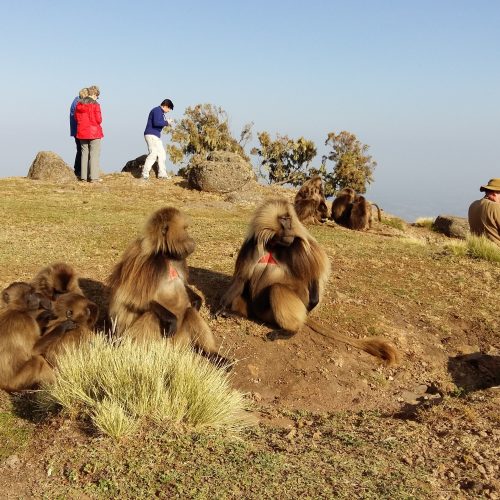 6-Day Northern Ethiopia Tour | Ethiopia Historical Journey