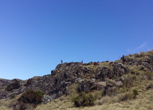 Wonchi Crater Lake Day Trip: Eco Adventure from Addis Ababa