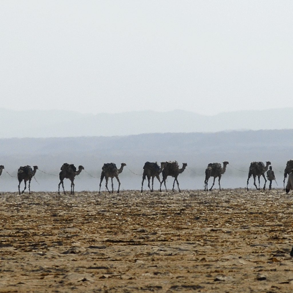 Danakil Depression salt flats and extreme desert landscape Ethiopia Erta Ale volcano lava lake glowing at night Dallol sulfur springs colorful mineral formations Afar salt miners camel caravan in desert Ethiopia Desert camping under stars during Danakil Expedition Travelers on the 5-Day Danakil Expedition exploring volcano landscape