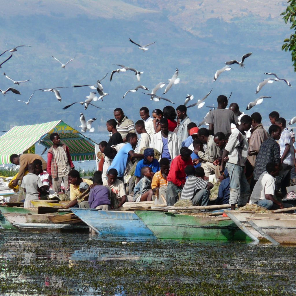Rift Valley Lakeside Escape Ethiopia Great Rift Valley lakes Ethiopia Ethiopia birdwatching tour Scenic lakeside landscapes Ethiopia Rift Valley wildlife experience