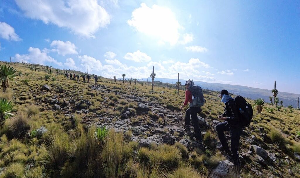 Ethiopia Adventure in the Simien Mountains Simien Mountains Ethiopia landscape Gelada baboon in Simien Mountains Rock-hewn churches of Lalibela Ethiopia Lalibela historic churches Ethiopia Danakil Depression Ethiopia landscape Ethiopia adventure tour in northern Ethiopia