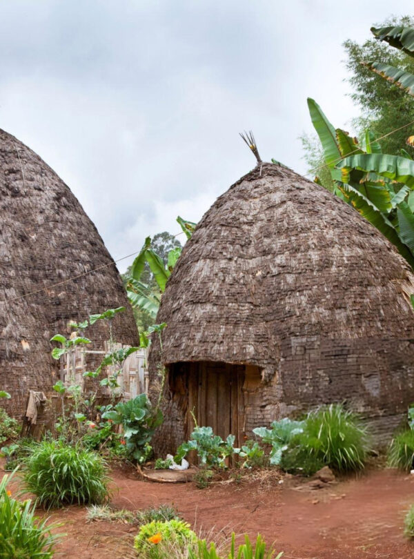 Omo Valley Culture Tour Ethiopia Omo Valley cultural experience Traditional Omo Valley village Ethiopia Omo Valley people and culture Ethiopia cultural tour Omo Valley